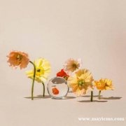 摄影视角-透视摄影